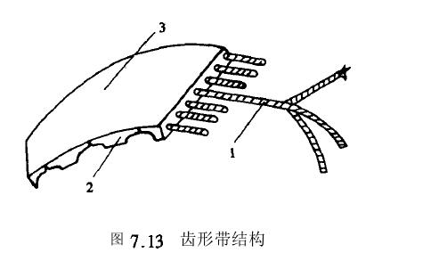 齒形帶傳動特征